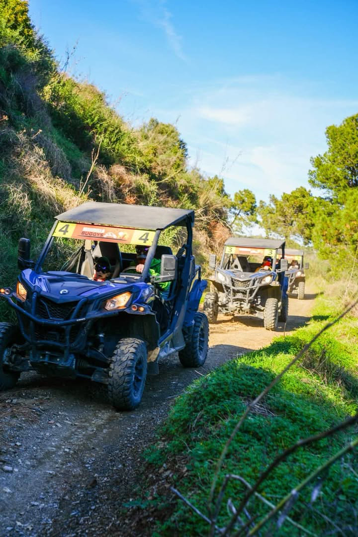 Buggy atardecer Costa del Sol