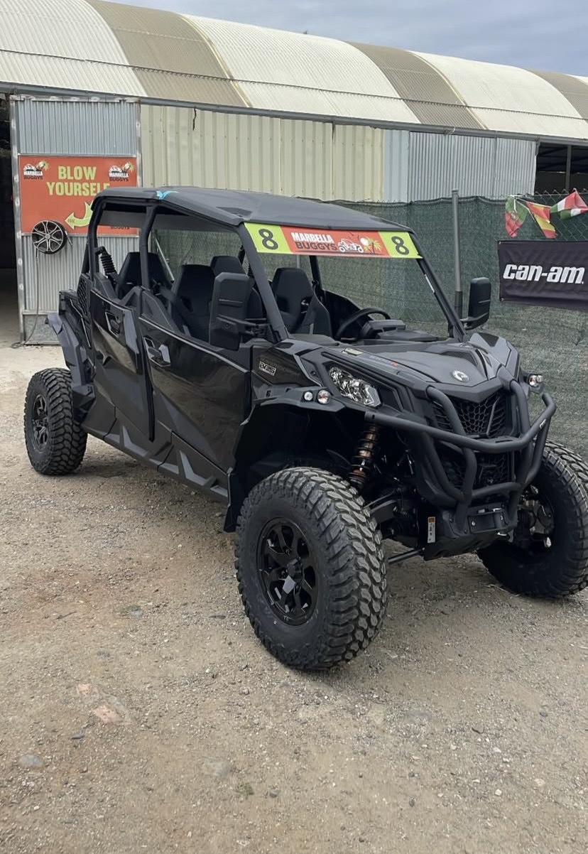 Buggy Premium Tour